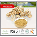 China Wholesale Angelica, Angelica Root, Natural Angelica Extract